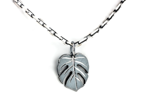 Srebrny liść monstery