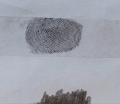 Odcisk palca pokrytego grafitem przeniesiony na tasmę klejącą , naklejony na kartkę papieru - do zeskanowania