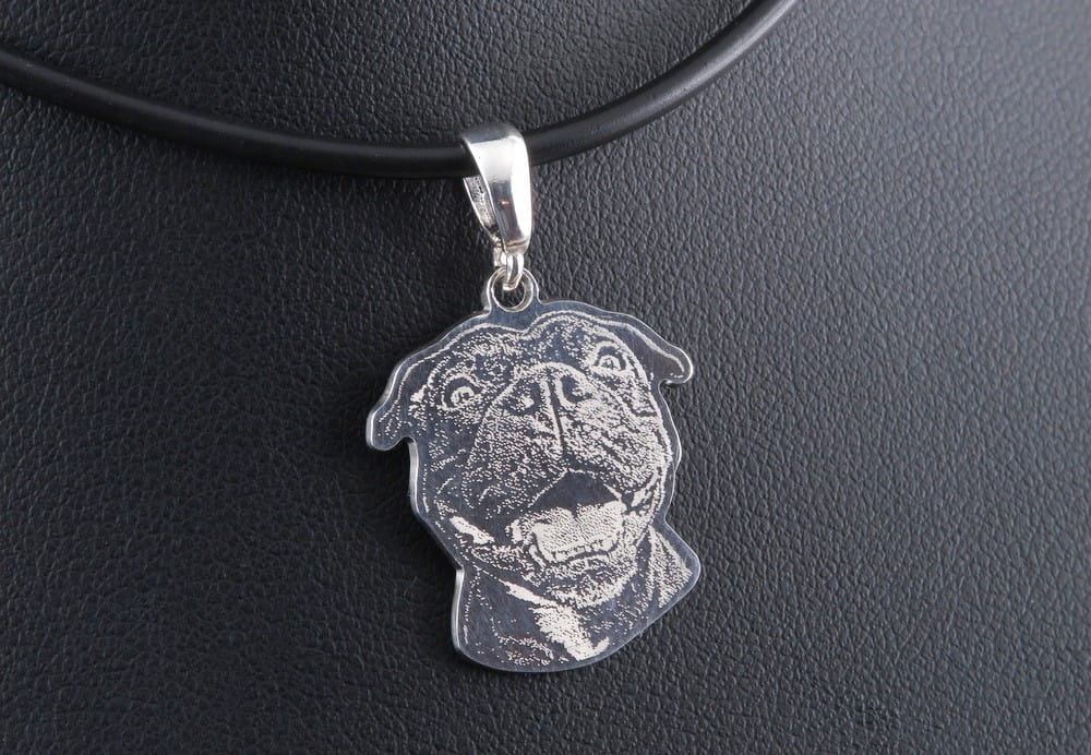 Srebrna zawieszka głowa psa Haps